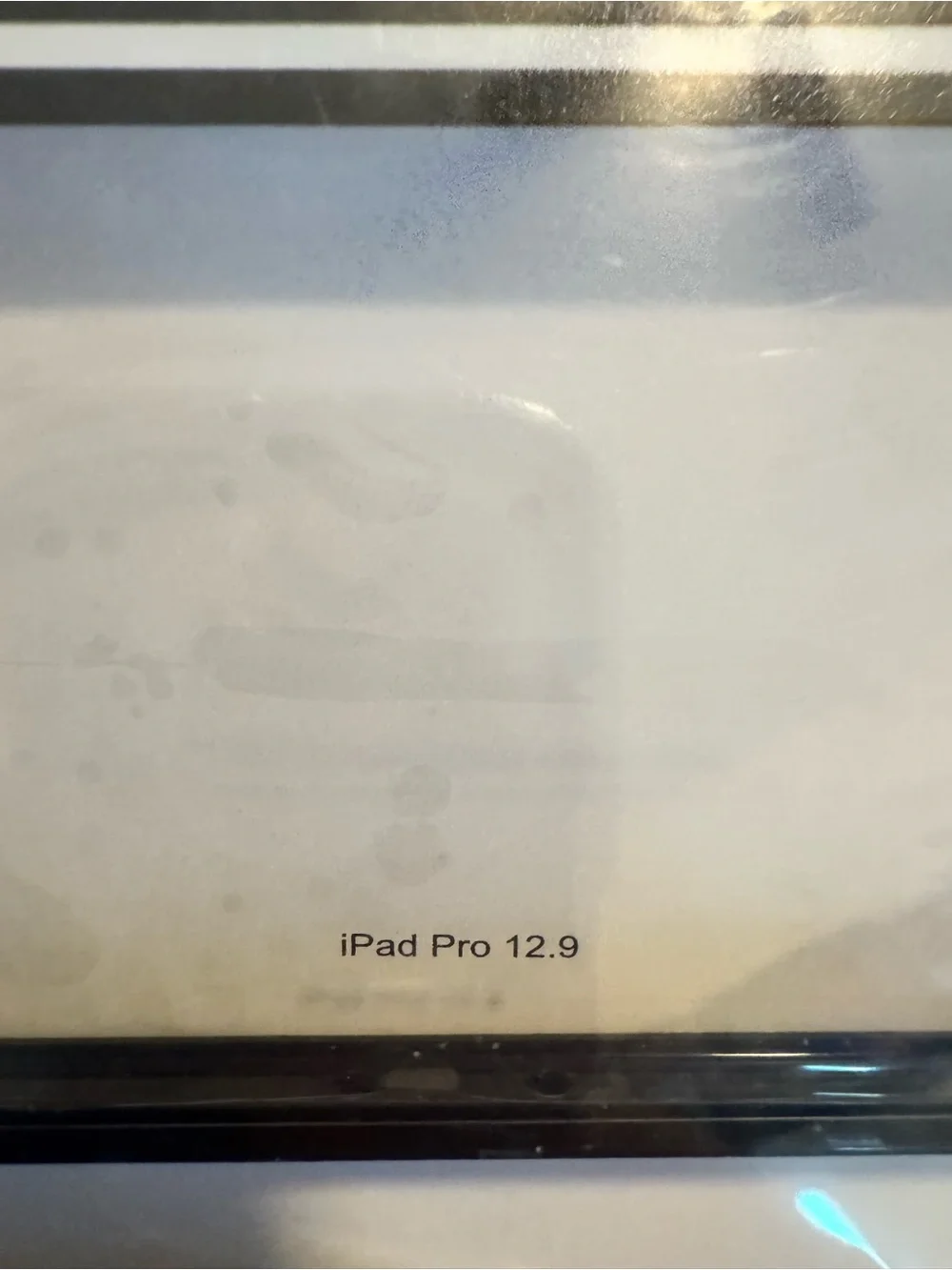 Oasis Graphic iPad Case